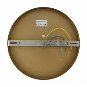 Бра Freya Zelda FR5125WL-01BS в Нефтекамске - neftekamsk.mebel24.online | фото 6