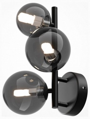 Бра Maytoni Dallas MOD545WL-03B в Нефтекамске - neftekamsk.mebel24.online | фото 2