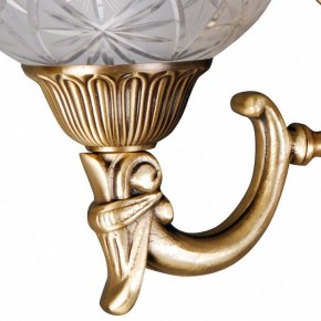Бра MW-Light Афродита 2 317021902 в Нефтекамске - neftekamsk.mebel24.online | фото 5