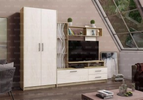 ДАРЬЯ Гостиная (Крафт серый/Крафт белый) в Нефтекамске - neftekamsk.mebel24.online | фото