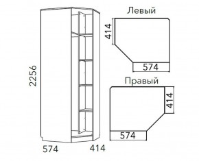 Детская Фанк Шкаф угловой Левый/Правый НМ 013.04-02 М в Нефтекамске - neftekamsk.mebel24.online | фото 3