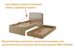 Дуглас (подростковая) М14 Кровать в Нефтекамске - neftekamsk.mebel24.online | фото 5