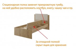 Дуглас (подростковая) М14 Кровать в Нефтекамске - neftekamsk.mebel24.online | фото 6