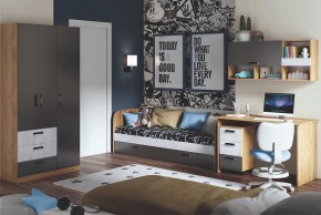 Дуглас подростковая (модульная) в Нефтекамске - neftekamsk.mebel24.online | фото 2