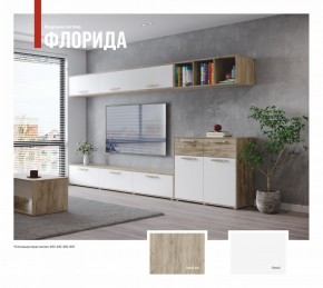 ФЛОРИДА Гостиная (модульная) дуб серый/белый в Нефтекамске - neftekamsk.mebel24.online | фото
