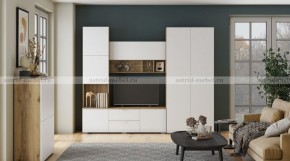 МИЛАН-1 Гостиная (модульная) в Нефтекамске - neftekamsk.mebel24.online | фото 10