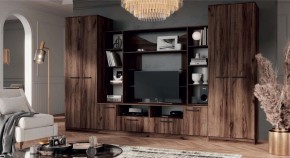 ПРЕМЬЕР Гостиная (Дуб Самдал) в Нефтекамске - neftekamsk.mebel24.online | фото