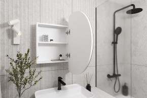 Кларити Шкаф зеркальный 16.312.04 в Нефтекамске - neftekamsk.mebel24.online | фото 2