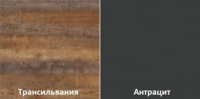 Кухонный гарнитур угловой Трансильвания 2400x1600 мм (Стол. 38 мм) Антрацит/Трансильвания в Нефтекамске - neftekamsk.mebel24.online | фото 3