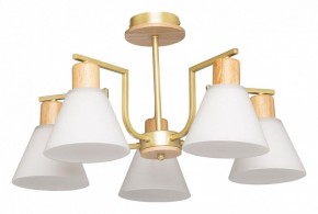 Люстра на штанге De City Дэла 45 635016505 в Нефтекамске - neftekamsk.mebel24.online | фото