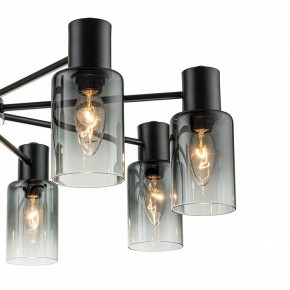 Люстра на штанге Escada Diversity 2120/8P Black в Нефтекамске - neftekamsk.mebel24.online | фото 5