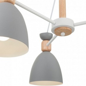 Люстра на штанге Freya Delia FR5033CL-05W в Нефтекамске - neftekamsk.mebel24.online | фото