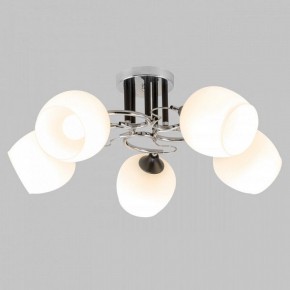 Люстра на штанге Imex MD.3618 MD.3618-5-S-CH+BK в Нефтекамске - neftekamsk.mebel24.online | фото 2