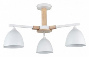 Люстра на штанге Lumion Colange 8095/3C в Нефтекамске - neftekamsk.mebel24.online | фото