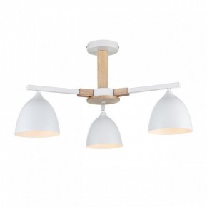 Люстра на штанге Lumion Colange 8095/3C в Нефтекамске - neftekamsk.mebel24.online | фото 2
