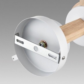 Люстра на штанге Lumion Colange 8095/3C в Нефтекамске - neftekamsk.mebel24.online | фото 6