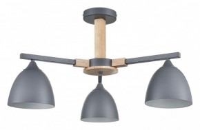 Люстра на штанге Lumion Colange 8096/3C в Нефтекамске - neftekamsk.mebel24.online | фото