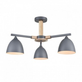Люстра на штанге Lumion Colange 8096/3C в Нефтекамске - neftekamsk.mebel24.online | фото 2