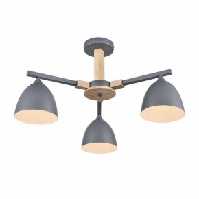 Люстра на штанге Lumion Colange 8096/3C в Нефтекамске - neftekamsk.mebel24.online | фото 3