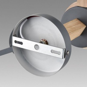 Люстра на штанге Lumion Colange 8096/3C в Нефтекамске - neftekamsk.mebel24.online | фото 6
