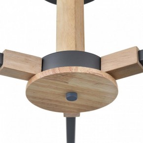 Люстра на штанге Lumion Colange 8096/3C в Нефтекамске - neftekamsk.mebel24.online | фото 7