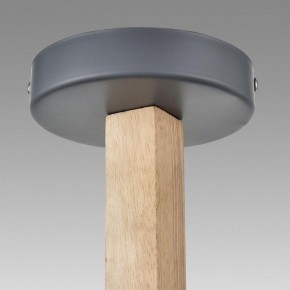 Люстра на штанге Lumion Colange 8096/3C в Нефтекамске - neftekamsk.mebel24.online | фото 9