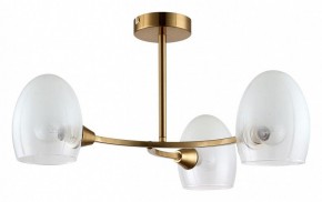 Люстра на штанге Lumion Kendall 6514/3C в Нефтекамске - neftekamsk.mebel24.online | фото