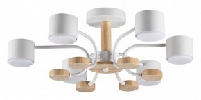 Люстра на штанге Lumion Rondo 8231/6C в Нефтекамске - neftekamsk.mebel24.online | фото