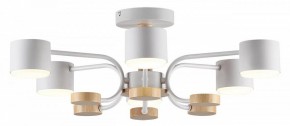 Люстра на штанге Lumion Rondo 8231/6C в Нефтекамске - neftekamsk.mebel24.online | фото 2