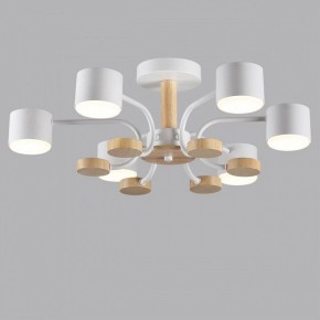 Люстра на штанге Lumion Rondo 8231/6C в Нефтекамске - neftekamsk.mebel24.online | фото 4