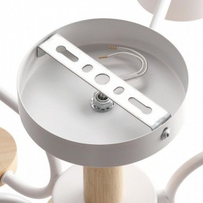 Люстра на штанге Lumion Rondo 8231/6C в Нефтекамске - neftekamsk.mebel24.online | фото 6