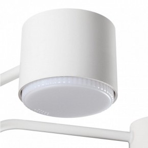 Люстра на штанге Lumion Rondo 8231/6C в Нефтекамске - neftekamsk.mebel24.online | фото 7