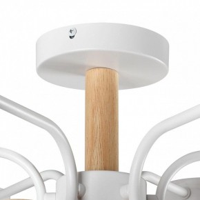 Люстра на штанге Lumion Rondo 8231/6C в Нефтекамске - neftekamsk.mebel24.online | фото 8