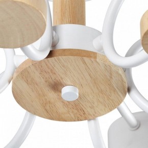 Люстра на штанге Lumion Rondo 8231/6C в Нефтекамске - neftekamsk.mebel24.online | фото 9