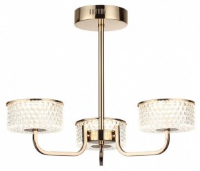 Люстра на штанге Lumion Venice 6579/40CL в Нефтекамске - neftekamsk.mebel24.online | фото 3