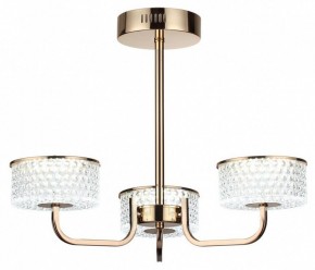 Люстра на штанге Lumion Venice 6579/40CL в Нефтекамске - neftekamsk.mebel24.online | фото 4