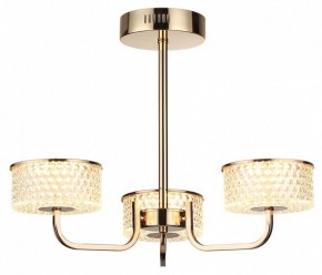 Люстра на штанге Lumion Venice 6579/40CL в Нефтекамске - neftekamsk.mebel24.online | фото 5