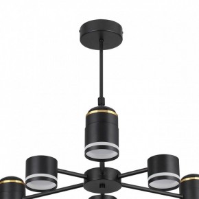 Люстра на штанге Lumion Virsava 8234/6C в Нефтекамске - neftekamsk.mebel24.online | фото 5