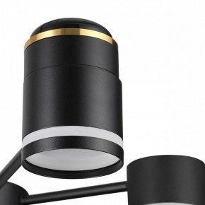Люстра на штанге Lumion Virsava 8234/6C в Нефтекамске - neftekamsk.mebel24.online | фото 8