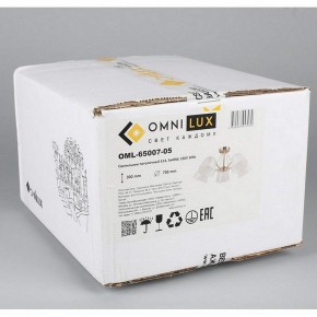 Люстра на штанге Omnilux Rapallo OML-65007-05 в Нефтекамске - neftekamsk.mebel24.online | фото 5