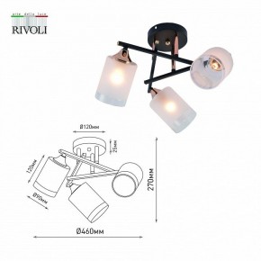 Люстра на штанге Rivoli Fiona Б0059259 в Нефтекамске - neftekamsk.mebel24.online | фото