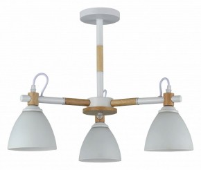 Люстра на штанге Rivoli Louise Б0060982 в Нефтекамске - neftekamsk.mebel24.online | фото