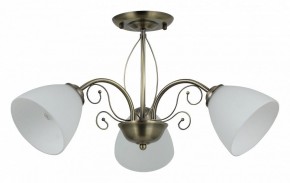 Люстра на штанге Rivoli Sue Б0060985 в Нефтекамске - neftekamsk.mebel24.online | фото