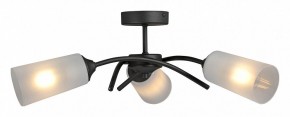 Люстра на штанге Vitaluce V2850 V2850-1/3PL в Нефтекамске - neftekamsk.mebel24.online | фото 3