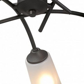 Люстра на штанге Vitaluce V2850 V2850-1/5PL в Нефтекамске - neftekamsk.mebel24.online | фото 6