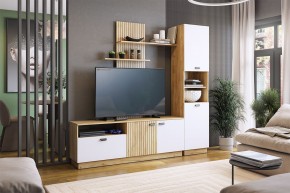 МОДИ Гостиная (модульная) белое дерево в Нефтекамске - neftekamsk.mebel24.online | фото