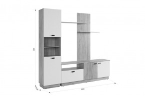 МОДИ Гостиная (модульная) белое дерево в Нефтекамске - neftekamsk.mebel24.online | фото 2
