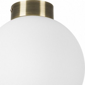 Накладной светильник Lightstar Globo 812021 в Нефтекамске - neftekamsk.mebel24.online | фото 3