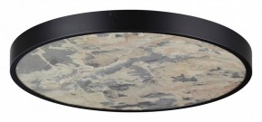 Накладной светильник Odeon Light Bergi 5064/50L в Нефтекамске - neftekamsk.mebel24.online | фото 3