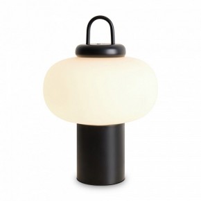 Настольная лампа декоративная Freya Take FR6175TL-L10B в Нефтекамске - neftekamsk.mebel24.online | фото